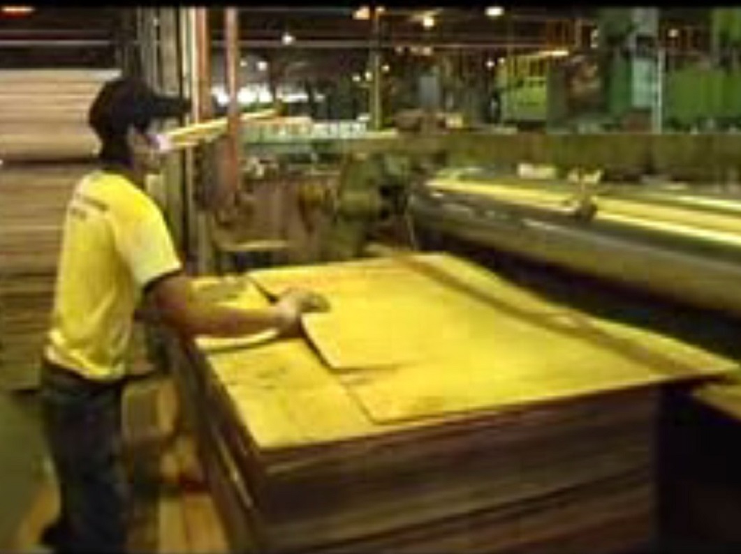 Plywood Manufacturing Process