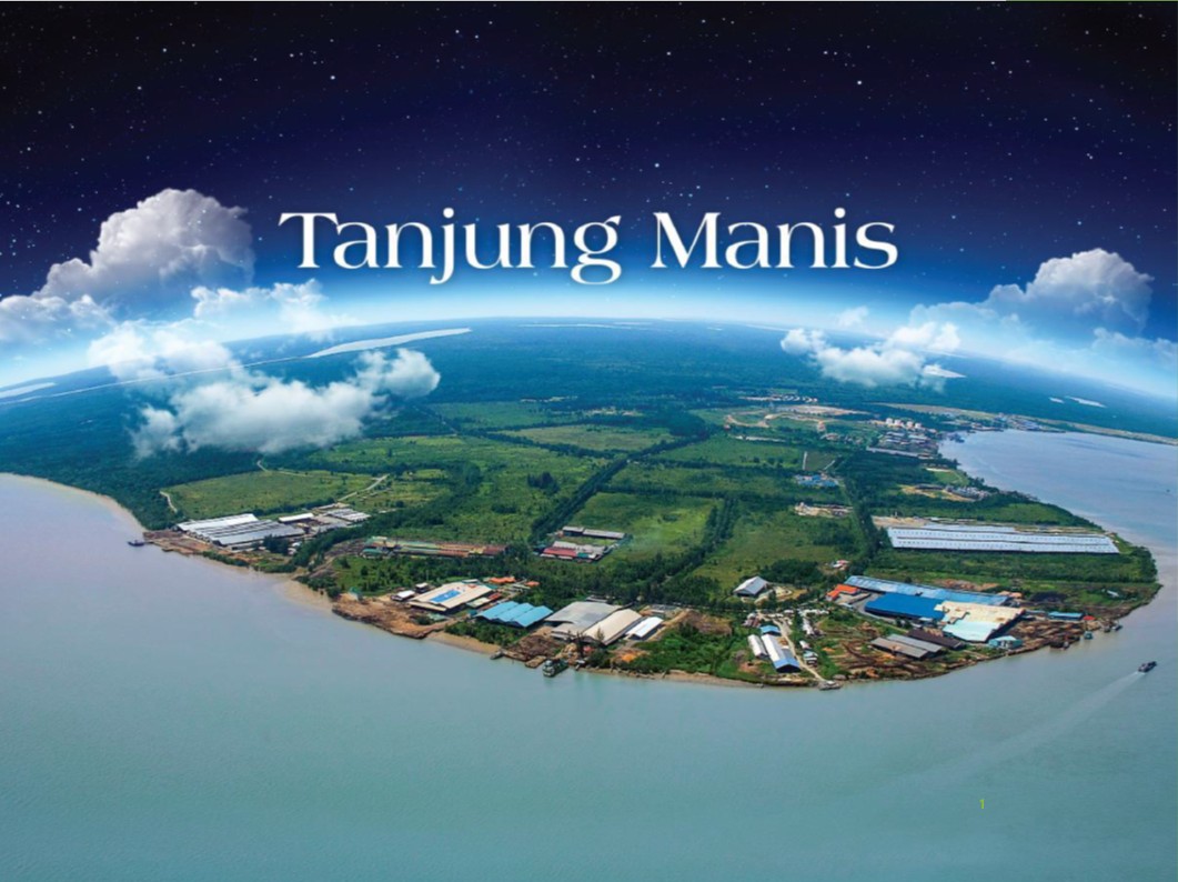 Development of Tanjung Manis